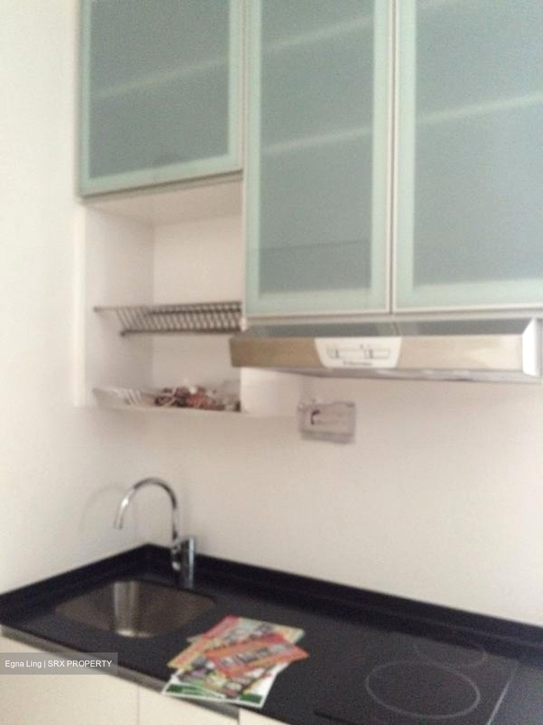 Parc Rosewood (D25), Condominium #543836301